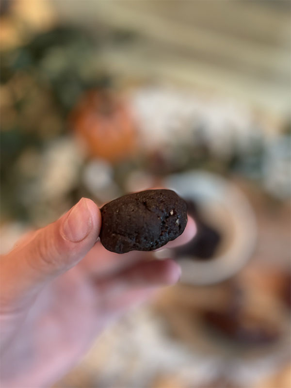 Cooking-Cactus healthy chocolate pralines #5
